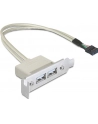 Delock gniazdo na śledziu USB 2.0 x2  Low Profile - nr 11