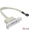 Delock gniazdo na śledziu USB 2.0 x2  Low Profile - nr 14