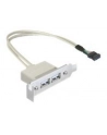 Delock gniazdo na śledziu USB 2.0 x2  Low Profile - nr 5