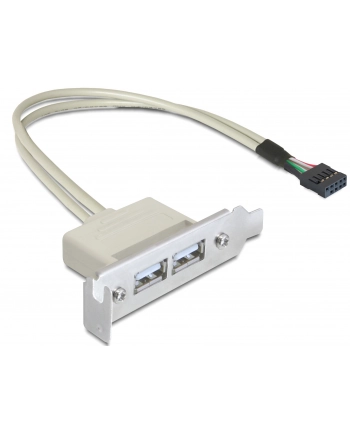 Delock gniazdo na śledziu USB 2.0 x2  Low Profile nr 1