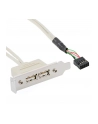 Delock gniazdo na śledziu USB 2.0 x2  Low Profile - nr 9