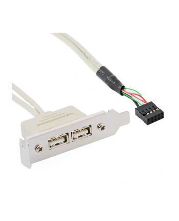 Delock gniazdo na śledziu USB 2.0 x2  Low Profile nr 2