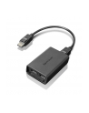 Lenovo DisplayPort to Dual-DisplayPort Monitor Cable - nr 20