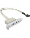 Delock gniazdo na śledziu USB 2.0 x2  Low Profile - nr 12