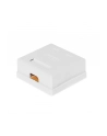 Netrack gniazdo kompletne natynkowe 2 x RJ45 8p8c FTP kat. 6 LSA - nr 2