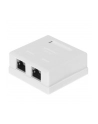 Netrack gniazdo kompletne natynkowe 2 x RJ45 8p8c FTP kat. 6 LSA - nr 9