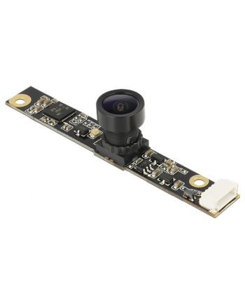 Delock Kamera modułowa USB 2.0 IR 3.14 megapikseli 80° V5 fix focus