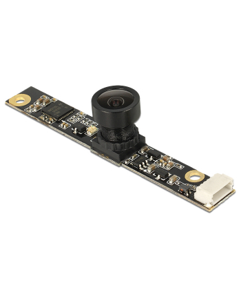 Delock Kamera modułowa USB 2.0 IR 5.04 megapikseli 80° V5 fix focus