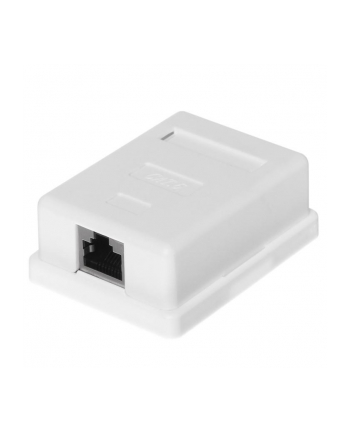 Netrack gniazdo kompletne natynkowe 1 x RJ45 8p8c FTP kat. 6 LSA