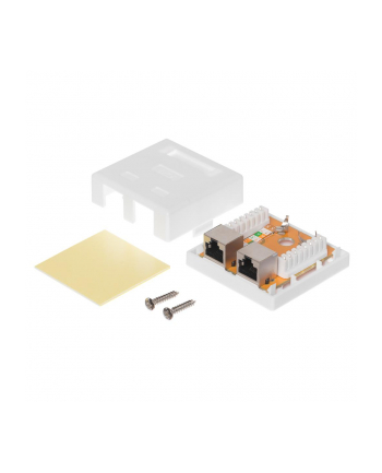 Netrack gniazdo kompletne natynkowe 2 x RJ45 8p8c FTP kat. 6 LSA