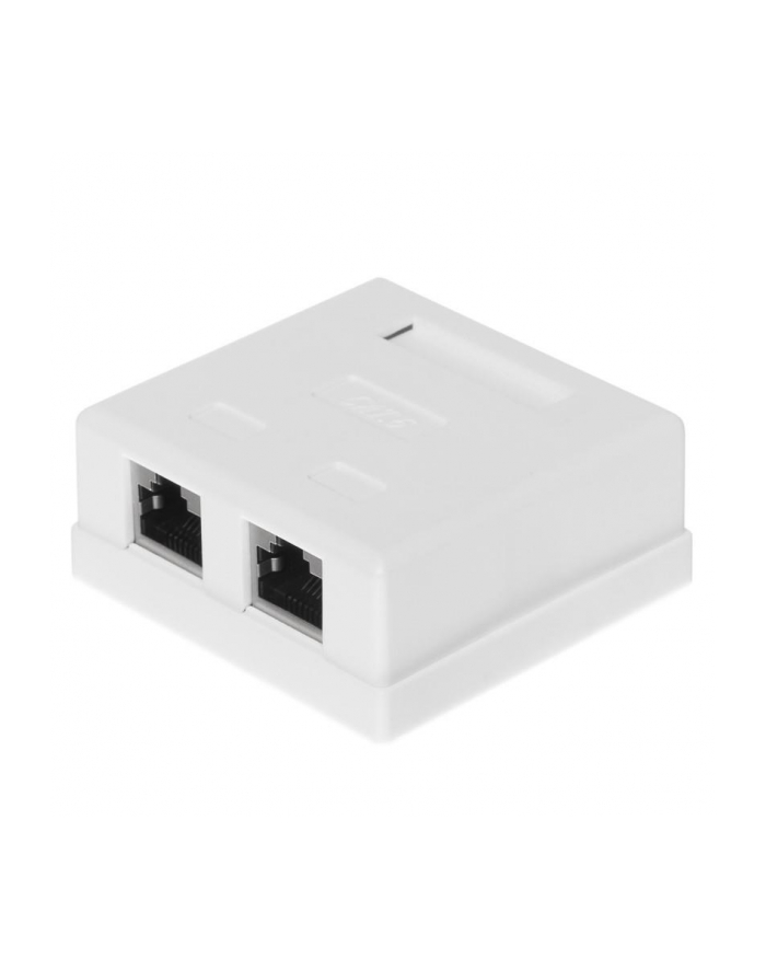 Netrack gniazdo kompletne natynkowe 2 x RJ45 8p8c FTP kat. 6 LSA główny