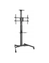 digitus Stojak mobilny pojedynczy z półką, 1xLCD, max. 70'', max. 50kg, VESA max. 600x400 - nr 48