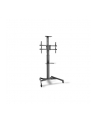 digitus Stojak mobilny pojedynczy z półką, 1xLCD, max. 70'', max. 50kg, VESA max. 600x400 - nr 59