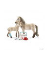 schleich SLH 42430 Islandzki koń i apteczka - nr 1