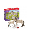 schleich SLH 42430 Islandzki koń i apteczka - nr 20