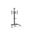 digitus Stojak mobilny pojedynczy z półką, 1xLCD, max. 70', max. 50kg, VESA max. 600x400 - nr 22
