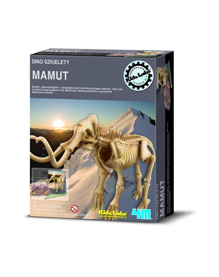 Wykopaliska  Mamut 3236 Russell główny