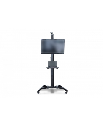digitus Stojak mobilny pojedynczy z półką, 1xLCD, max. 70', max. 50kg, VESA max. 600x400