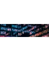 aoc Monitor 24 X24P1 IPS DVI HDMI DP Pivot Głośniki - nr 83