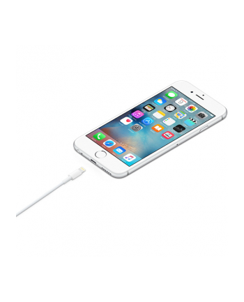 apple Kabel Lightning na USB (1m)
