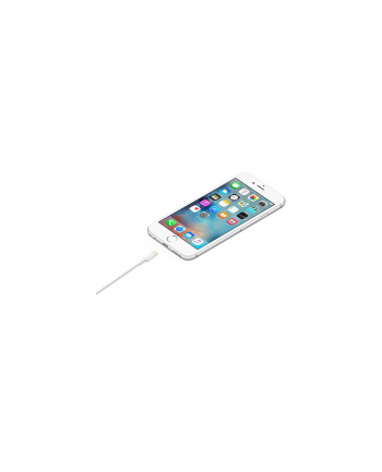 apple Kabel Lightning na USB (1m)