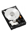 western digital Dysk twardy Black 4TB 3,5 256MB WD4005FZBX - nr 99