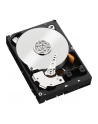 western digital Dysk twardy Black 4TB 3,5 256MB WD4005FZBX - nr 69