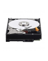 western digital Dysk twardy Red Pro 6TB 3,5 256MB  WD6003FFBX - nr 13