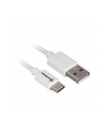 Sharkoon USB 2.0 A - USB C Adapter - white - 0.5m - nr 1