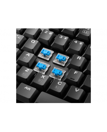 Sharkoon PureWriter TKL RGB - Low Profile - Mechanical - Kailh Blue - US-Layout