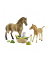 Schleich Horse Club Sarah's Animal Baby Pfl. - 42432 - nr 3