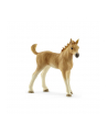 Schleich Horse Club Sarah's Animal Baby Pfl. - 42432 - nr 5