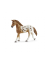 Schleich Horse Club Lisas Tournament Train. - 42433 - nr 17