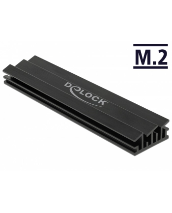 DeLOCK heatsink 100 mm for M.2 module nr 1