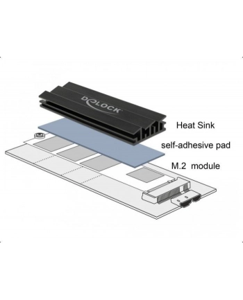 DeLOCK heatsink 100 mm for M.2 module nr 2
