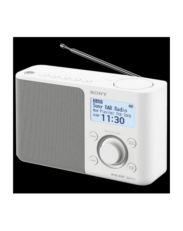 Sony XDR-S61DW white DAB+ główny