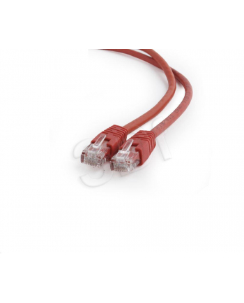 Gembird patchcord RJ45, osłonka zalewana, kat. 6, UTP, 0.25m, czerwony