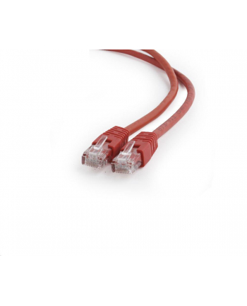 Gembird patchcord RJ45, osłonka zalewana, kat. 6, UTP, 0.25m, czerwony