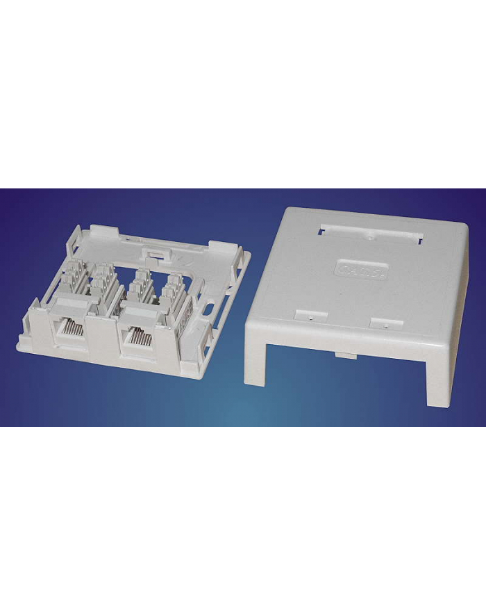 Puszka natynk. 2port 2 moduły RJ45 Krone główny