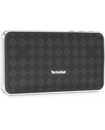 technisat BLUSPEAKER FL 200