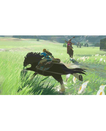 nintendo Legend of Zelda: Breath of the Wild (Switch)