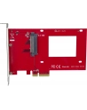 PCIE ADAPTER F. 2.5IN U.2 SSD SFF-8639                         IN - nr 32