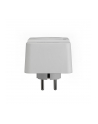 apc PM1W-GR Listwa Essential 1x Schuko - nr 43