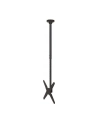 newstar Uchwyt uchylno-obrotowy sufitowy 32-75 FPMA-C340BLACK - nr 80