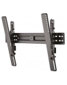 newstar Uchwyt ścienny do ekranów 37-75 LED-W650BLACK - nr 23