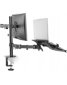 newstar Uchwyt biurkowy na monitor i laptop FPMA-D550NOTEBOOK - nr 80