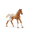 schleich SLH 42433 Zestaw treningowy koń Appaloosa - nr 12