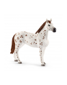 schleich SLH 42433 Zestaw treningowy koń Appaloosa - nr 14