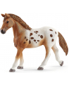 schleich SLH 42433 Zestaw treningowy koń Appaloosa - nr 18