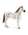 schleich SLH 42433 Zestaw treningowy koń Appaloosa - nr 19